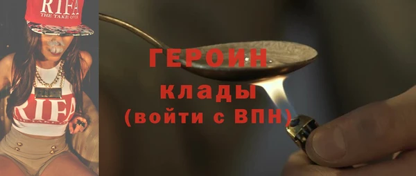 шишки Горняк